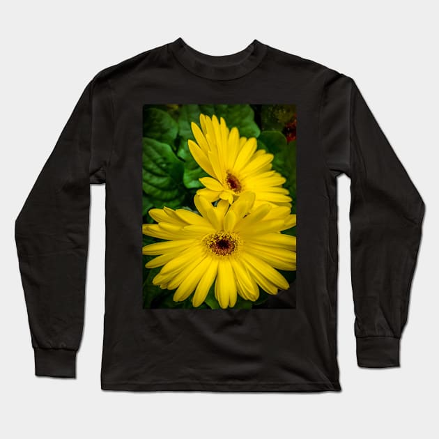 Yellow Gerbera Flowers Floral Plant Long Sleeve T-Shirt by eleonoraingrid